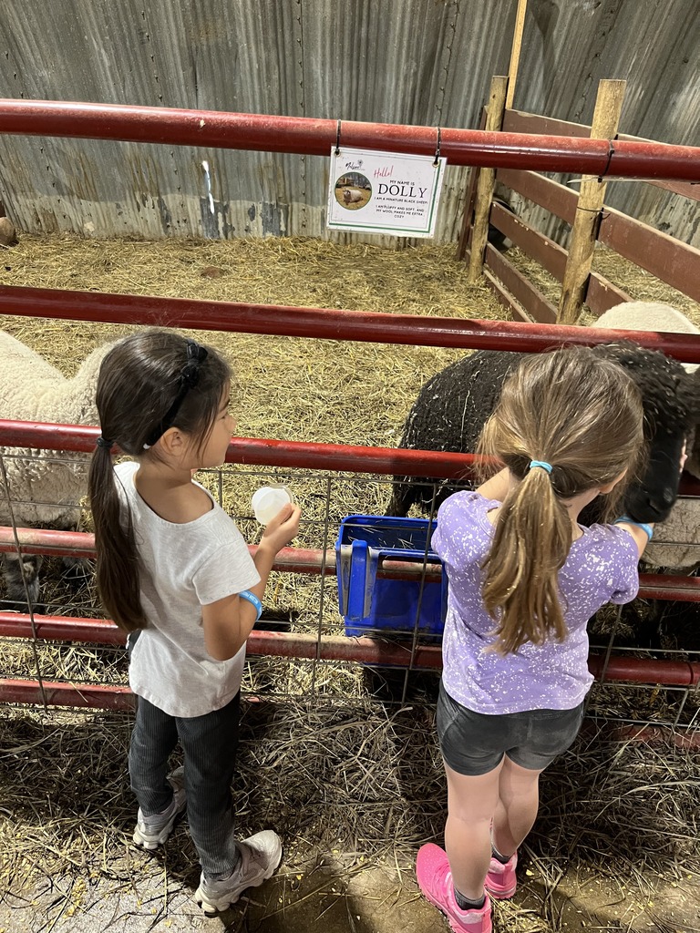 Two young girls standing together at a farm enclosure fence, reaching in to feed and pet a black sheep named Dolly.