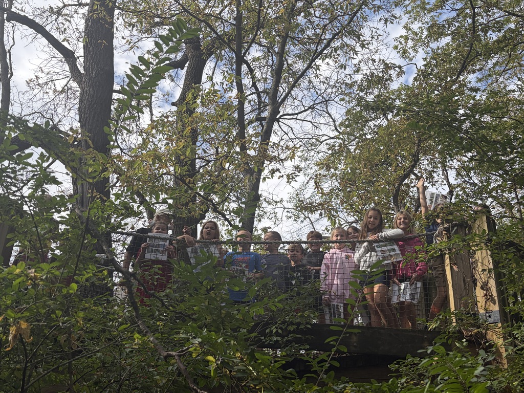 Group of children standing on an elevated wooden canopy walkway holding activity papers, smiling down through the surrounding tree foliage.