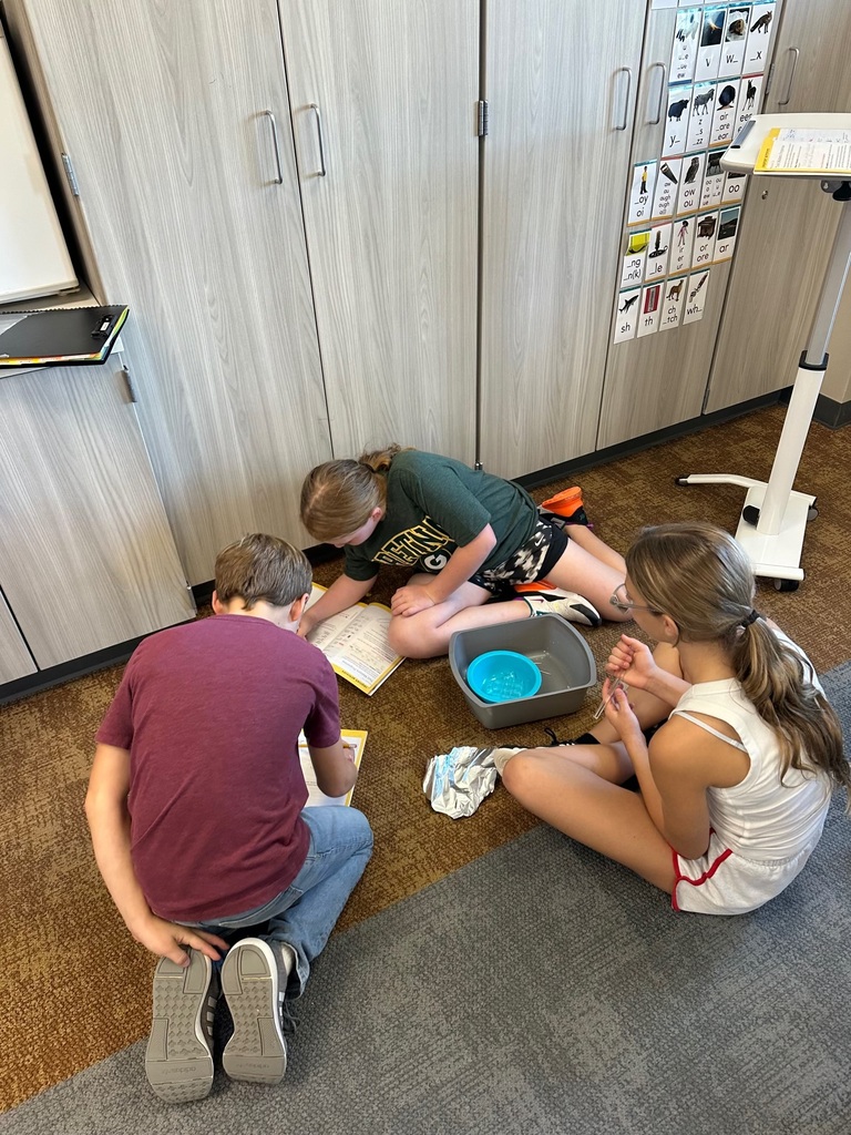 Students at Harvest Hills work on property learning in science class.