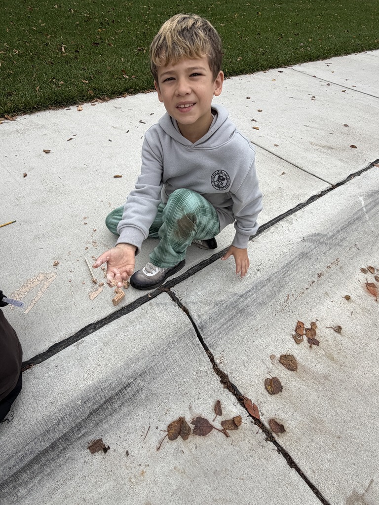Young boy crouching on a sidewalk outdoors, holding small crushed sedimentary rock fragments in his palm during a science activity.