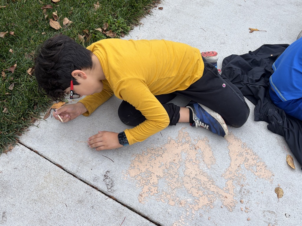Young boy wearing glasses and a yellow shirt leaning over a sidewalk to carefully chip away at a fossil excavation kit.