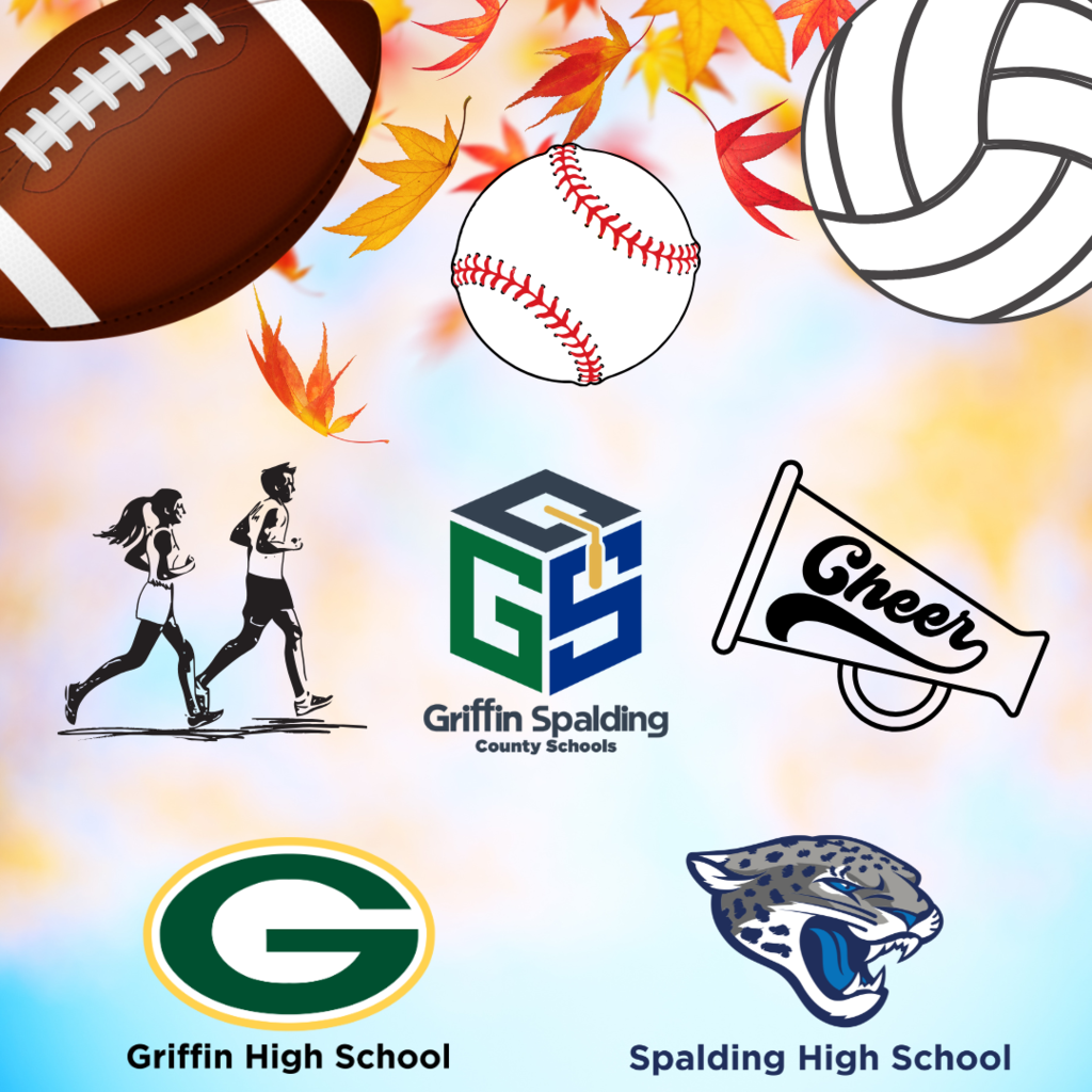 fall sport balls