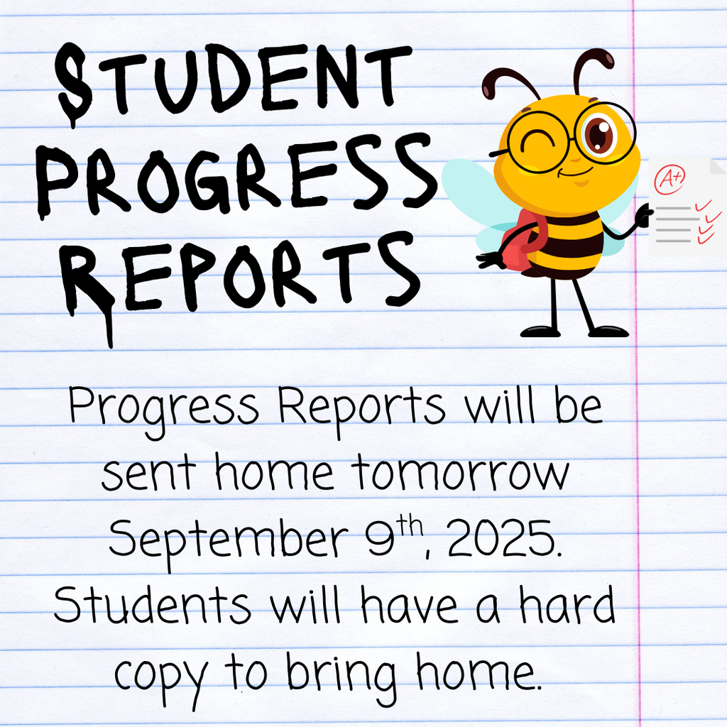 Progress Report 