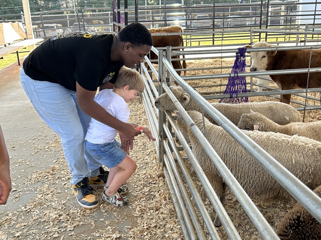 kids at fair