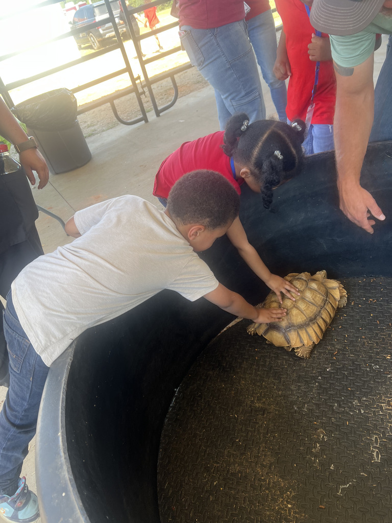 boy and girl petting large tortoise at fair