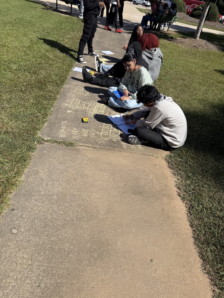 Students use chalk to make Punnett squares