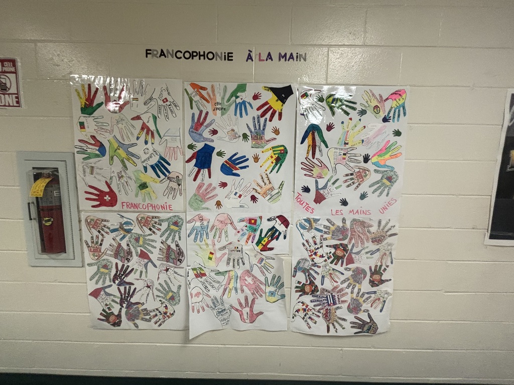 Posters showing the Francophonic countries of the world