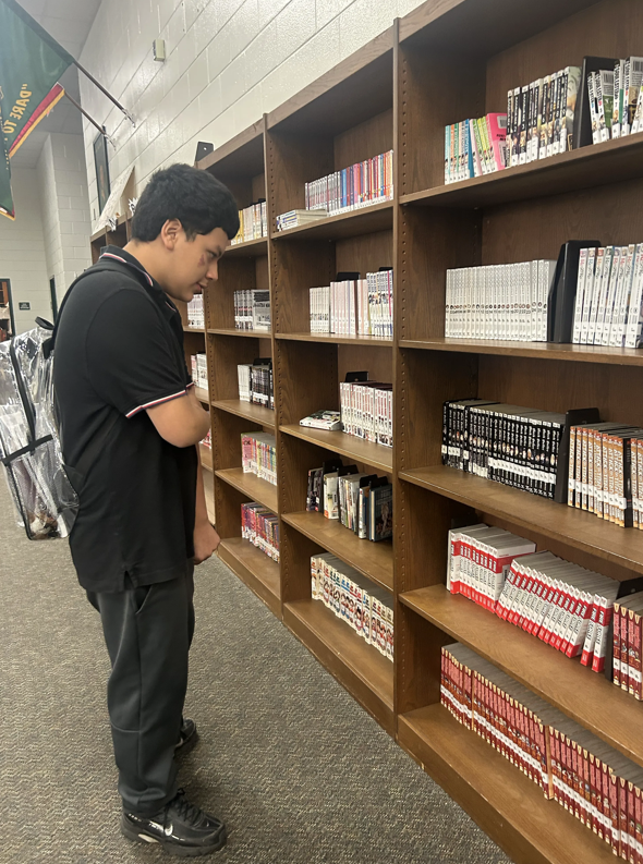 A student looks at the Manga collection