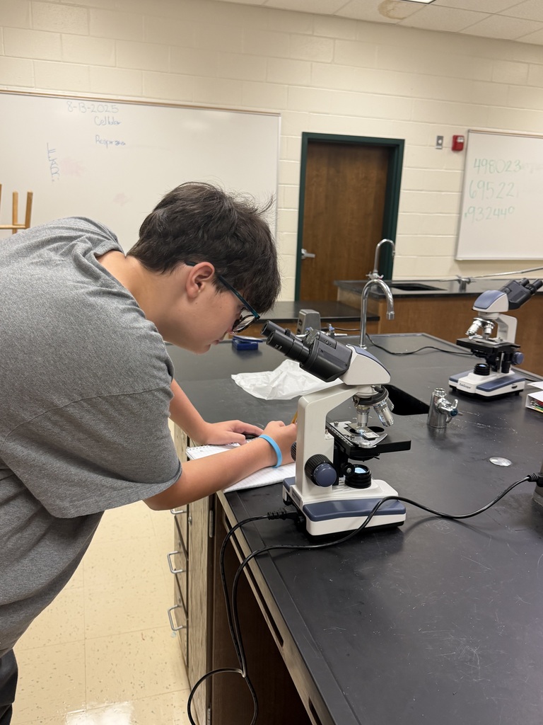 A student looks in a microscope