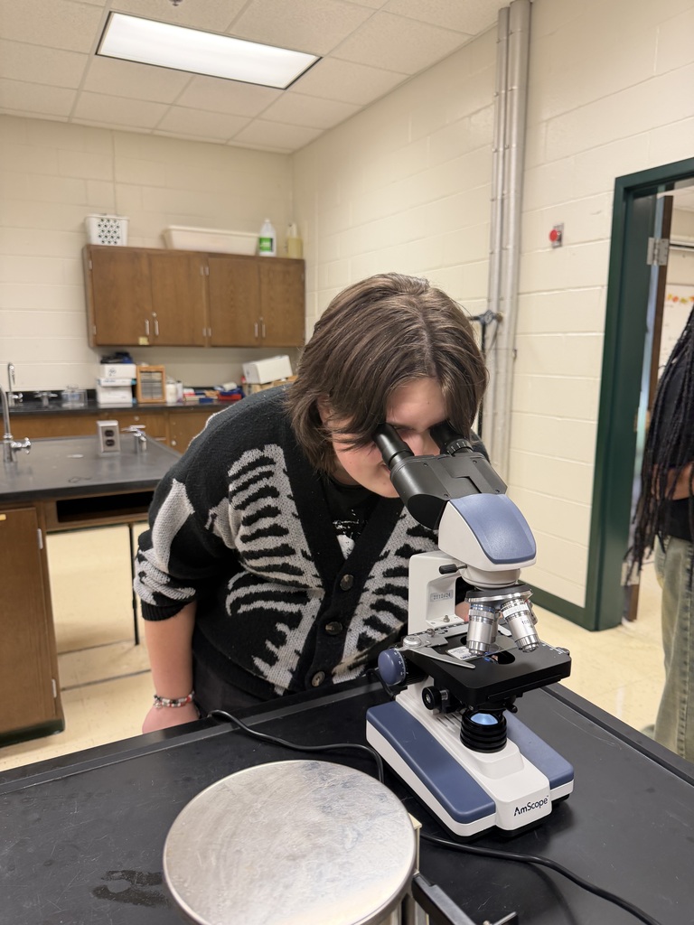 A student looks in a microscope