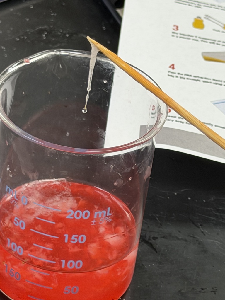 A strand of visible DNA hangs from the end of a stirring stick