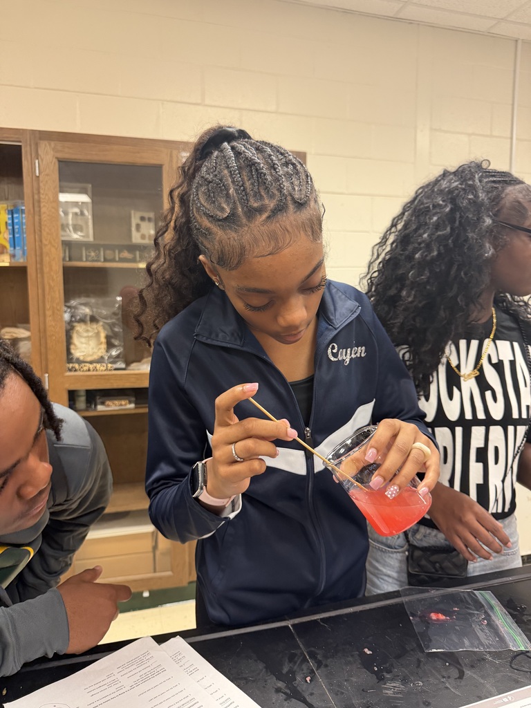 A student carefully agitates the strawberry mixture