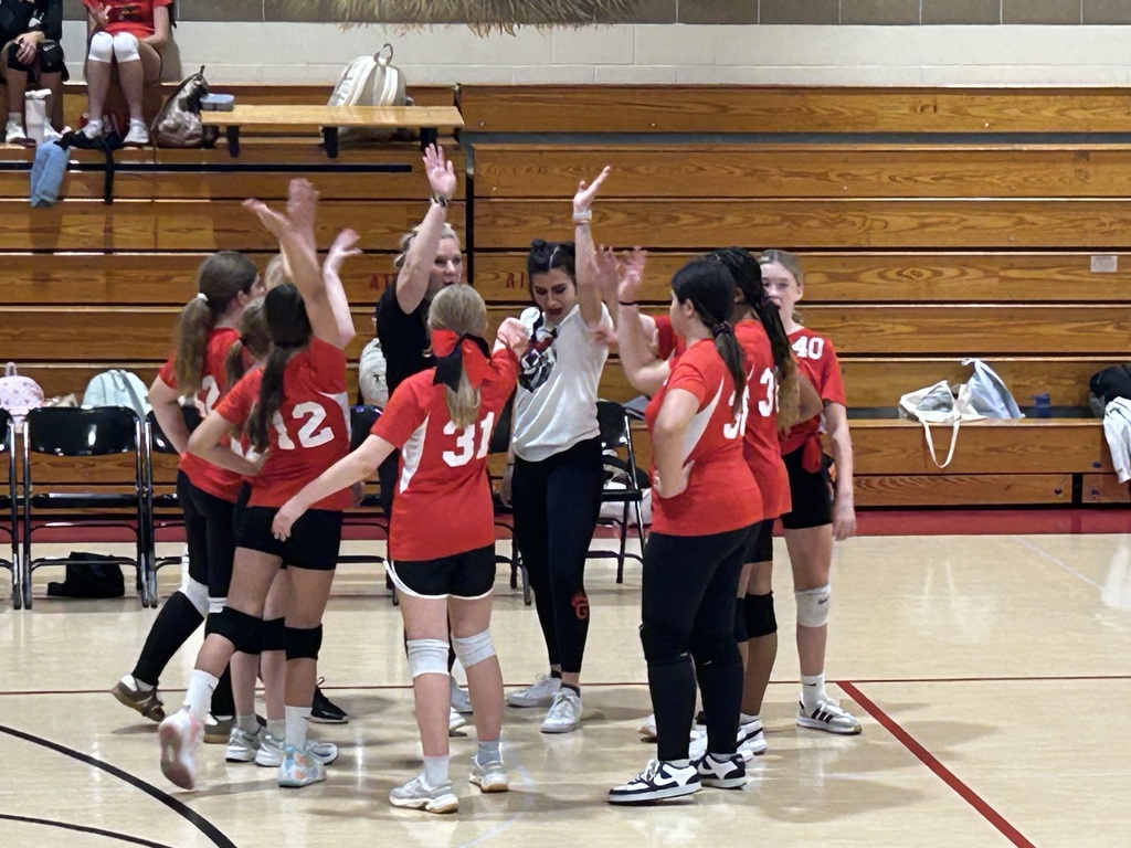 Volleyball Cheer