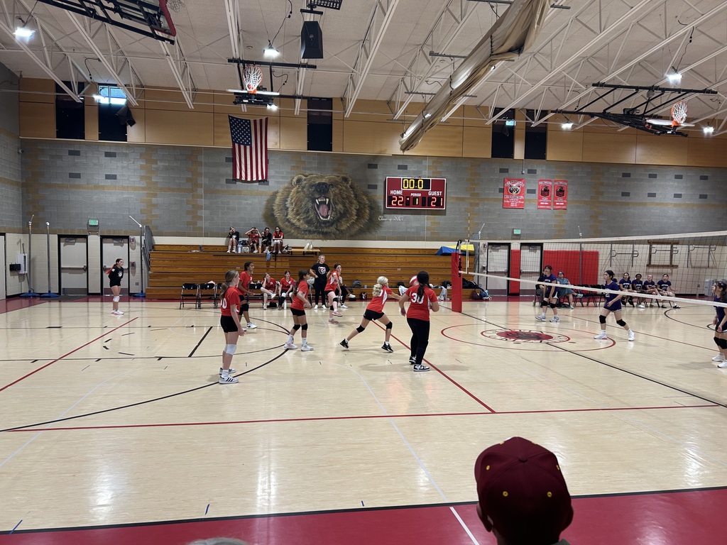 Volleyball Match