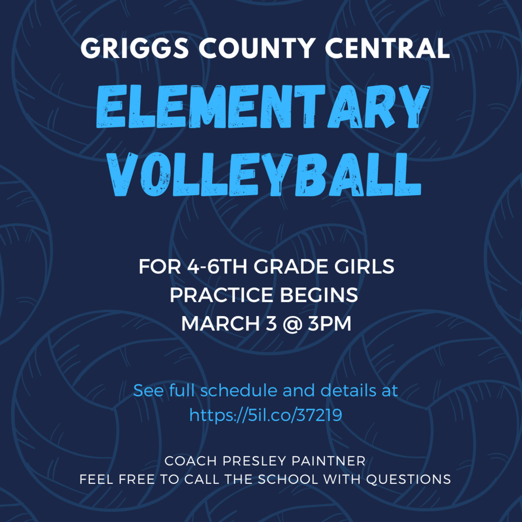 Elementary Volleyball
