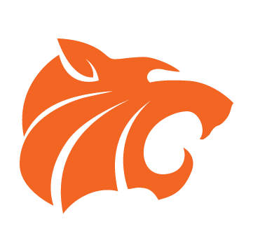 orange tiger logo