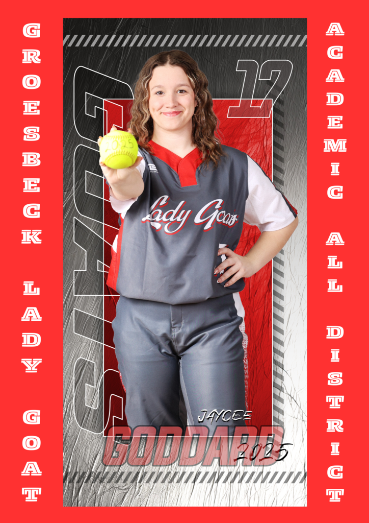 20-3A Softball All District Awards
