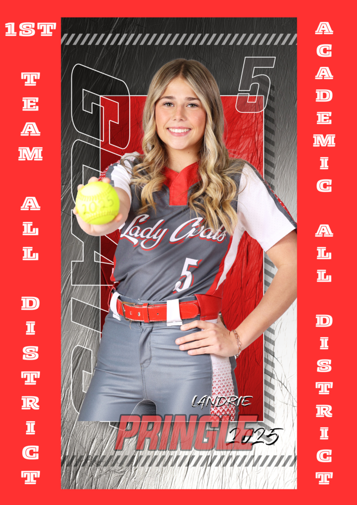 20-3A Softball All District Awards