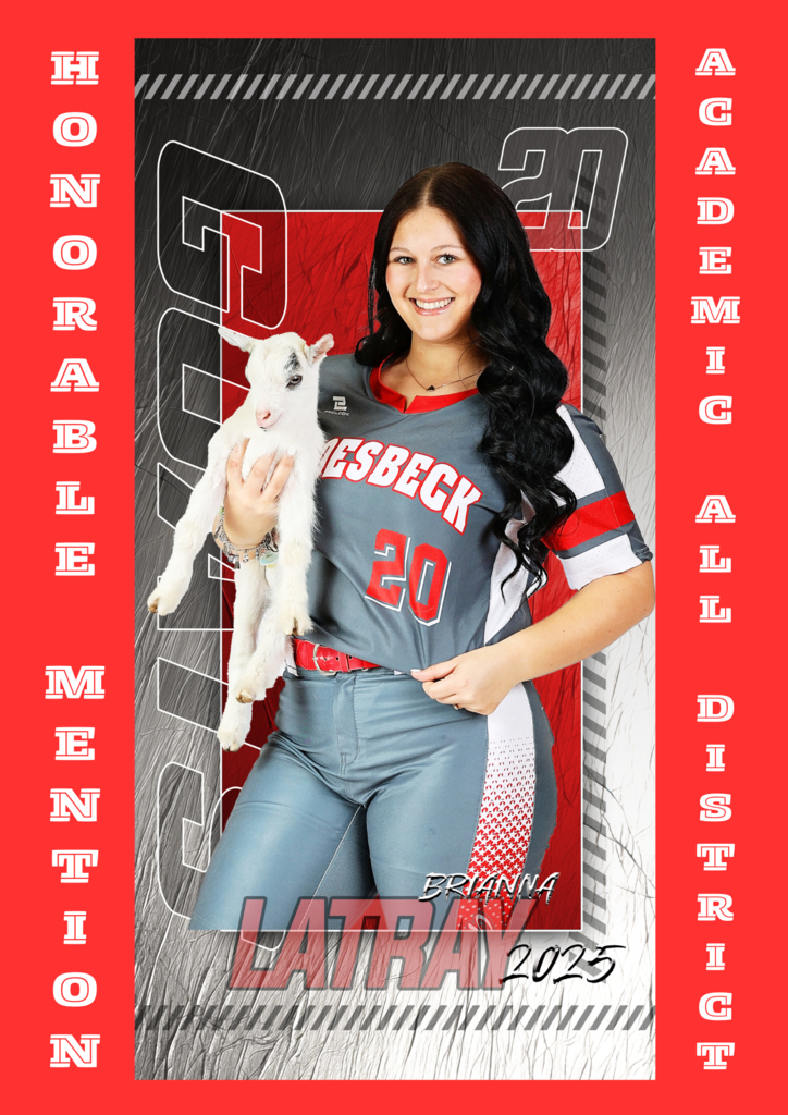 20-3A Softball All District Awards