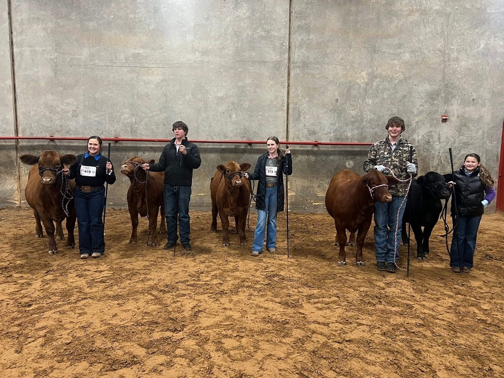 Heifer Team at Ft Worth Stock Show