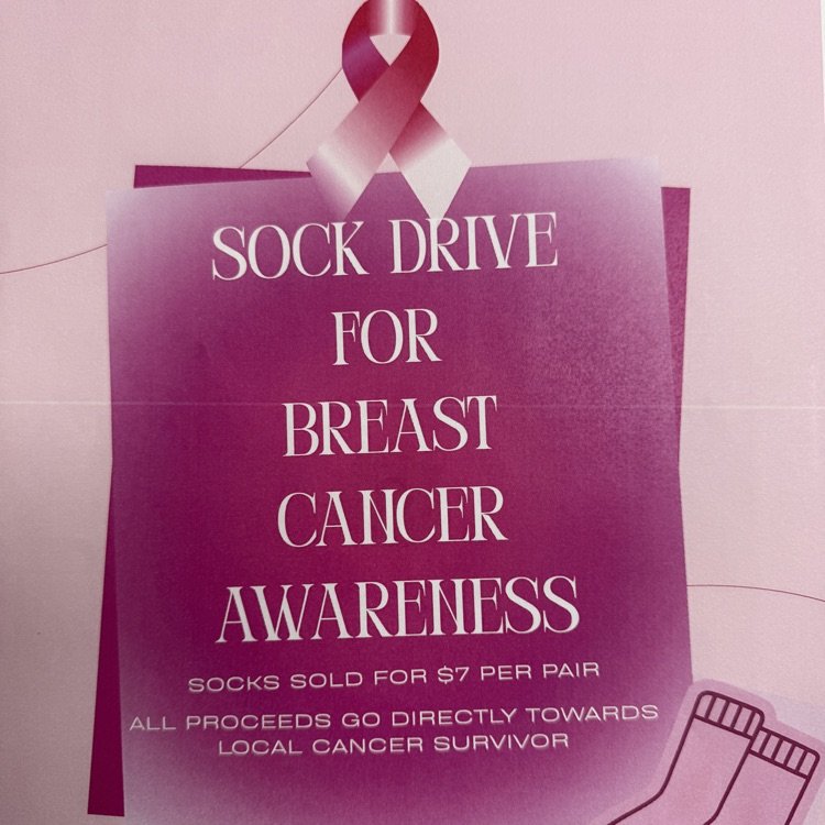 breast cancer awareness fundraiser $7 socks