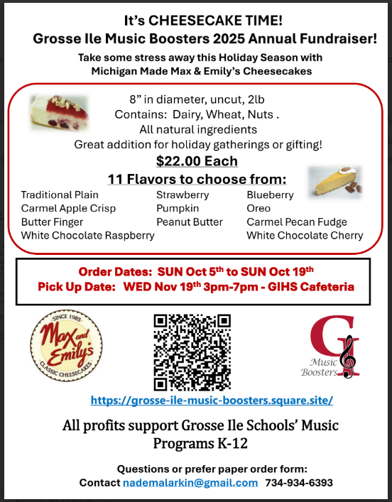 GI Music Booster Cheesecake