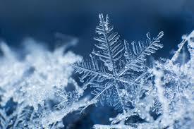 snowflakes