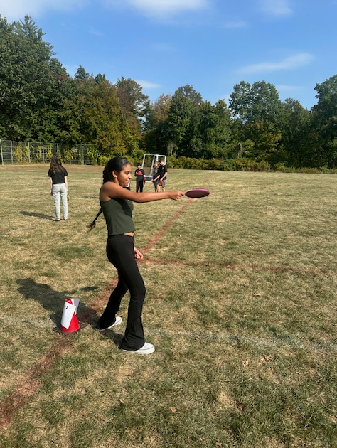 Disc Golf