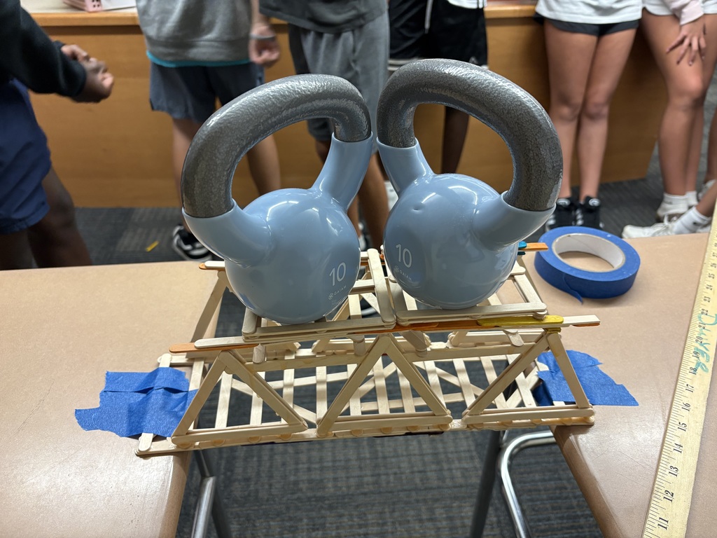 Truss Bridge holding 20lbs.