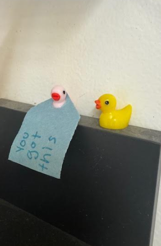 Inspirational mini ducks