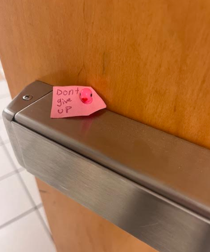 Inspirational mini ducks