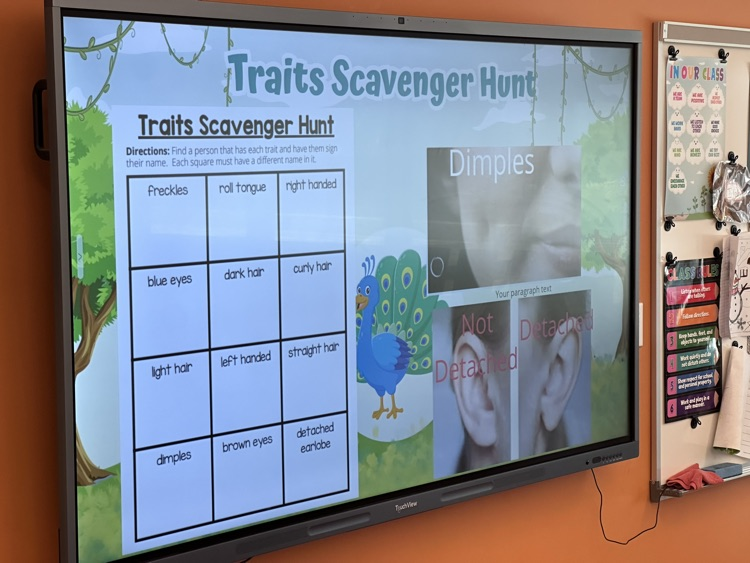 interactive panel listing details of the activity 