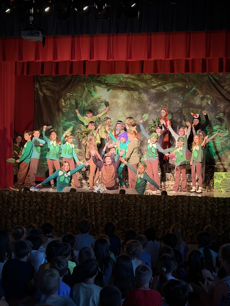Jungle Book Play