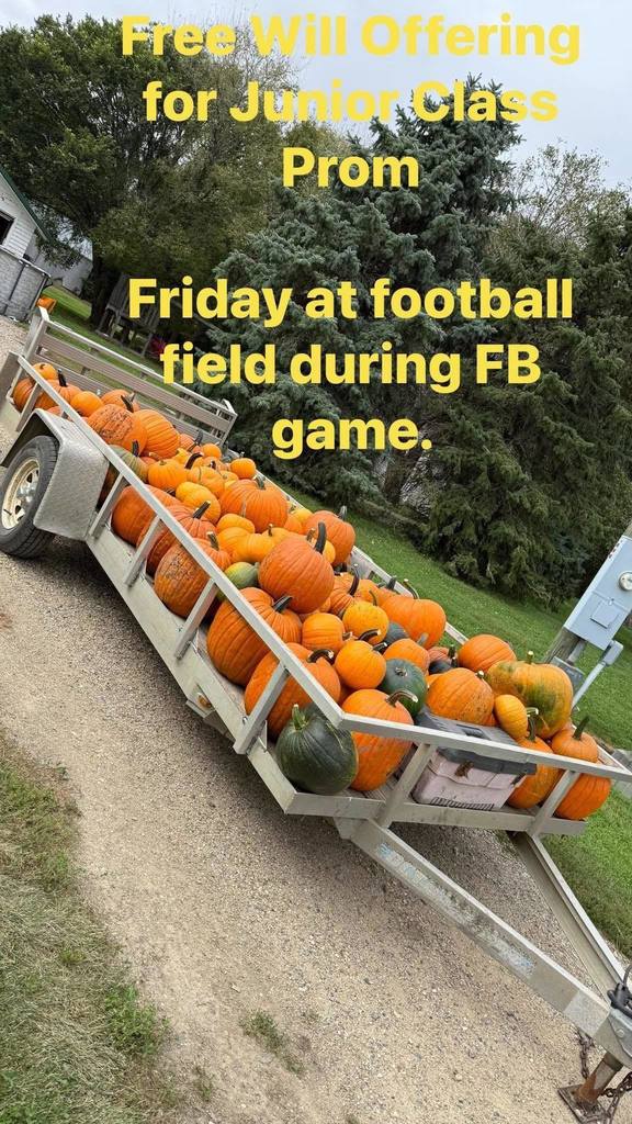 pumpkins