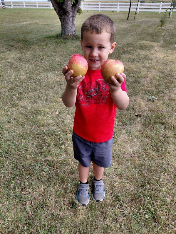JK Apples