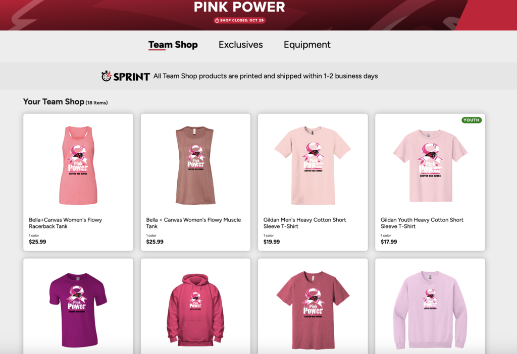 Volleyball Fundraiser - Breast Cancer Awarness