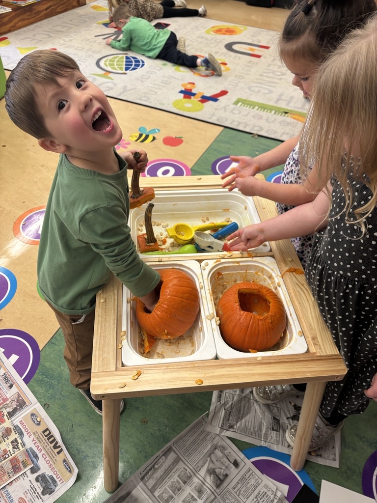 Tiny Adventures Club Pictures - 3