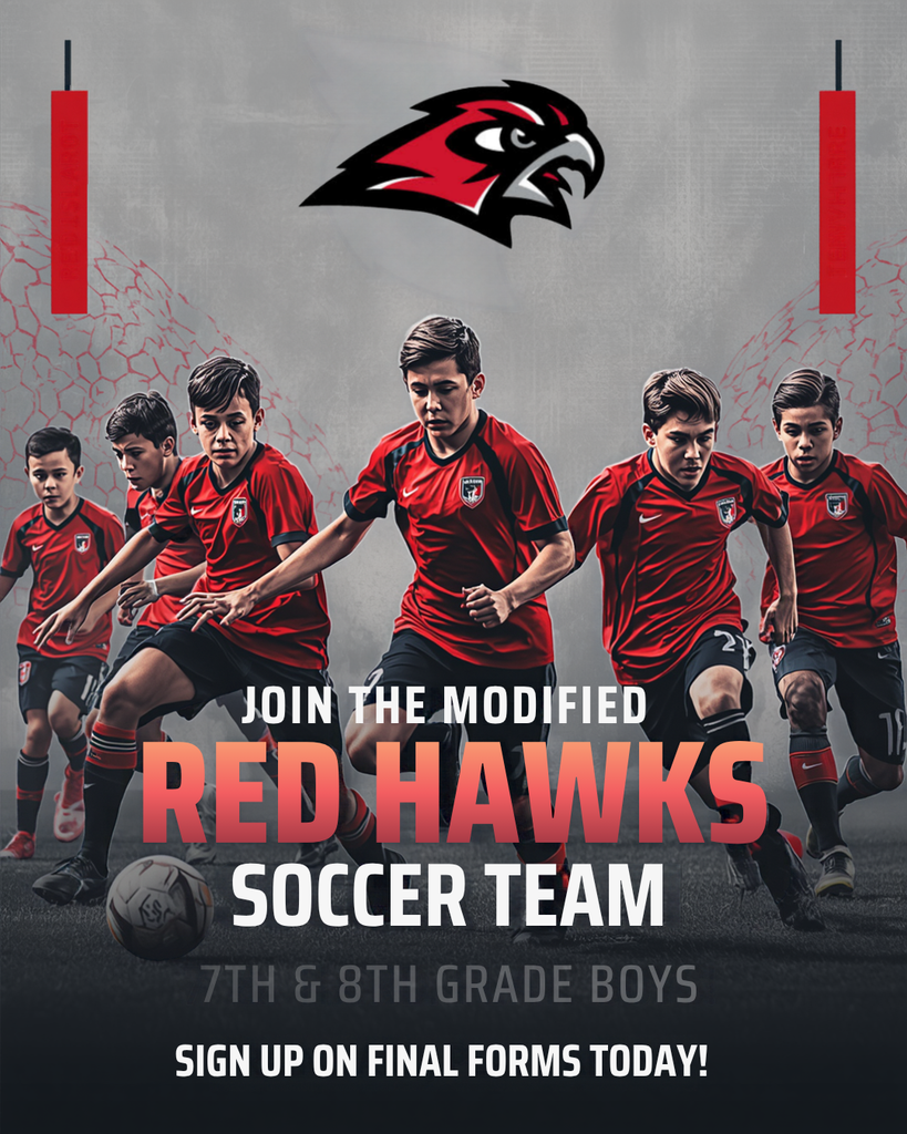 Boys Modified Soccer Team Poster