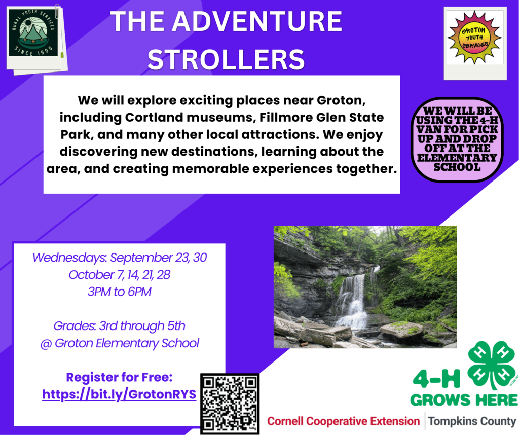 The Adventure Strollers 