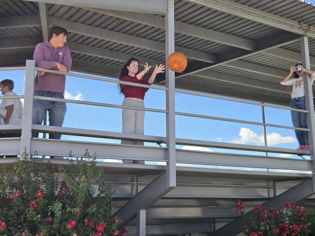 physics