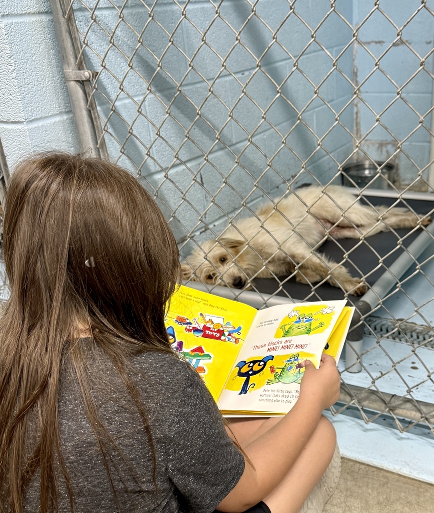 Reading
