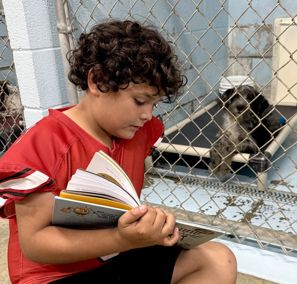 REading