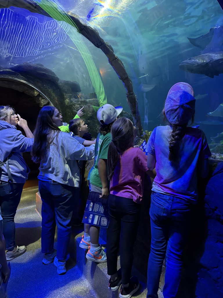 sea life