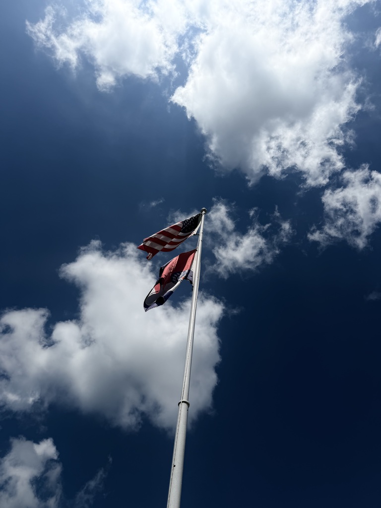 Flags