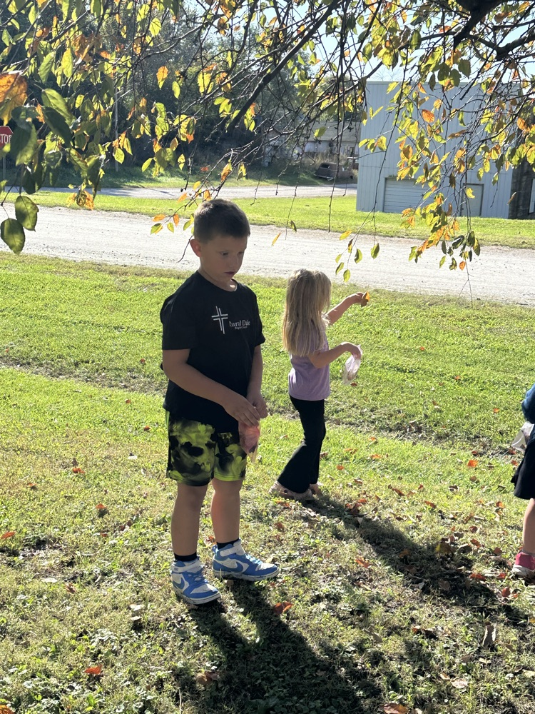 Fall Walk