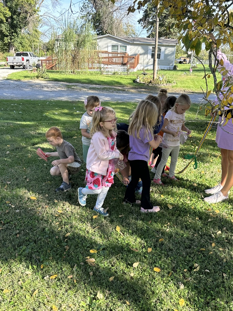 Fall Walk
