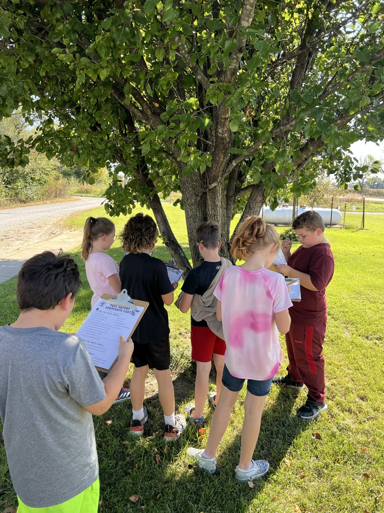 Recording their findings 