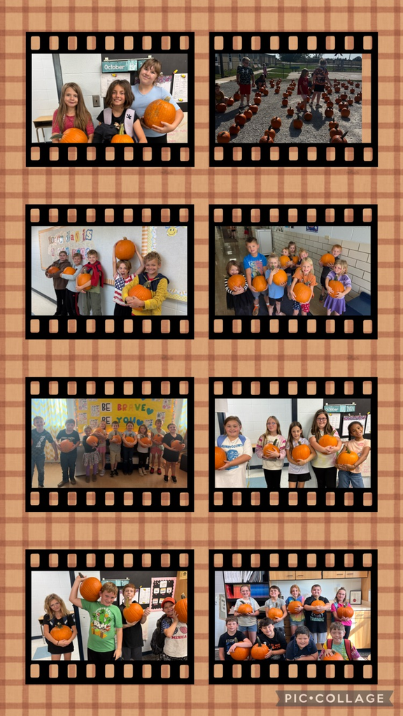 Pumpkins! 