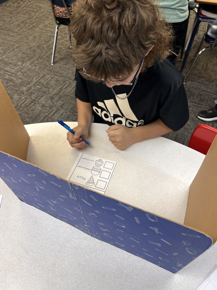 Raylan S. casting his vote 
