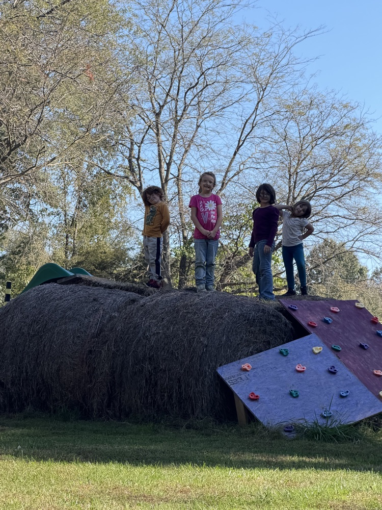 Our Mini Farm